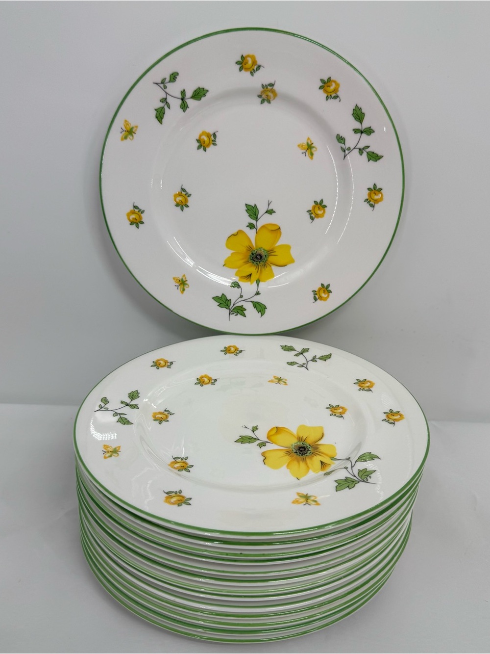 Set of 14 ROV9 Royal Victoria Fine Bone China Salad Plates Yellow Dogwood Flower